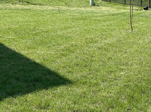 Jessica R.'s Lawn Mowing service result