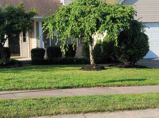 Mulching by Ashleigh Davis for Kristen B. in Middletown, OH
