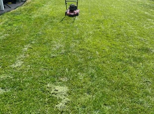 Jimmy G.'s Yard Cutting service result
