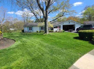 Noemi B.'s Lawn Service service result