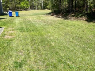 Cleanups by Sandra Evans for Travis J. in Durham, NC
