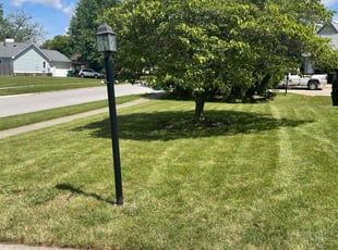 Jeanne F.'s Lawn Care service result