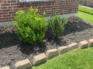 Weeding by David Hobson for April W. in Conroe, TX