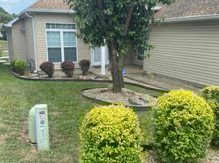 Bush Trimming by Aaron Kapfhammer for Mary B. in Louisville, KY