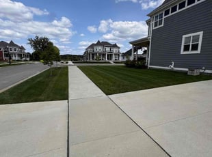 Maisoun H.'s Lawn Service service result