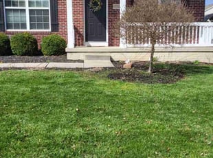 Michael N.'s Lawn Care service result