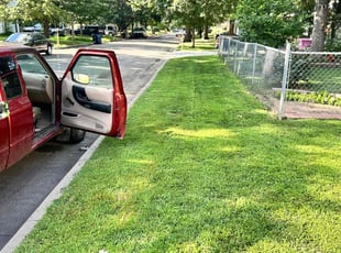 Amy V.'s Lawn Service service result