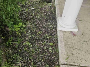 Weeding by James Cole for Stephanie P. in Indianapolis, IN