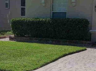 Bush Trimming by Robby Freedman for Jason A. in Oviedo, FL