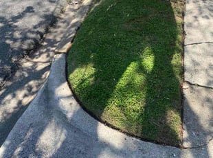 Shelia L.'s Lawn Service service result