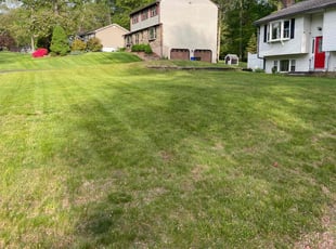 Terry M.'s Lawn Care service result