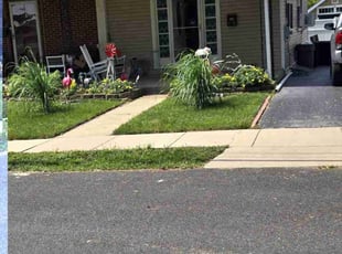 Chantal B.'s Lawn Care service result