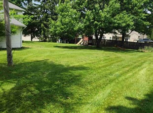 Sagar V.'s Lawn Maintenance service result