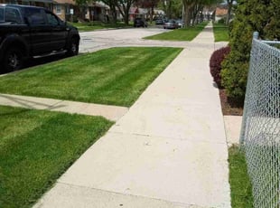 Eileen T.'s Yard Cutting service result