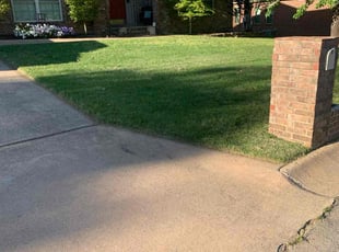Linh T.'s Lawn Service service result
