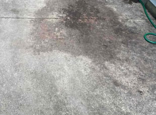 Leaf Removal by Akee Williams for Rita S. in Springfield, IL