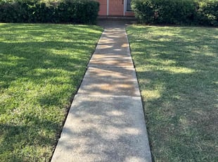 Teresa A.'s Lawn Mowing service result
