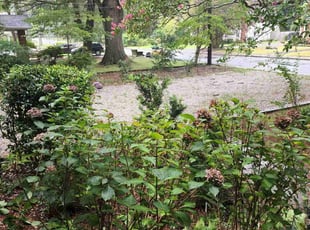 Bush Trimming by Gabriel Gray for John W. in Monroe, NC