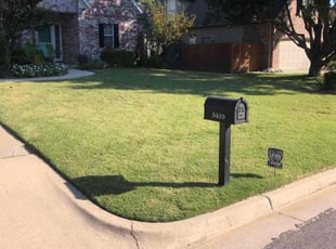 Rhiannon S.'s Yard Cutting service result