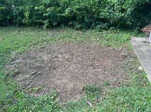 Landscaping by Kasandra Velasco for Shelby J. in Louisville, KY