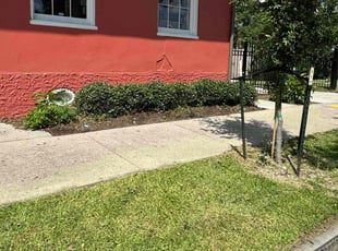 Bush Trimming by Mekeshia Ventry for Cavin D. in New Orleans, LA