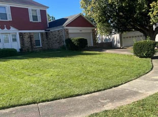 Mike S.'s Lawn Care service result