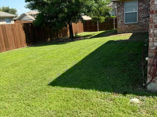 Beatrice G.'s Lawn Service service result