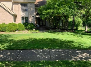 Janice W.'s Lawn Mowing service result