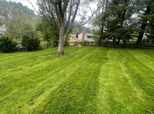 Donnell G.'s Lawn Maintenance service result