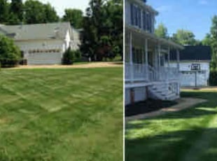 Nathan A.'s Grass Cutting service result