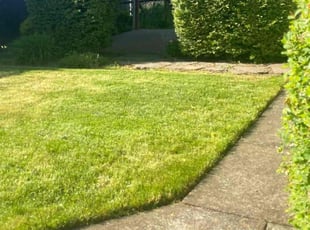 Bush Trimming by Carlos Ledesma for Michael L. in Keizer, OR