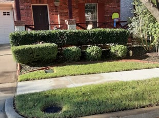 Bush Trimming by Dominique Craft for Siddharth M. in McKinney, TX