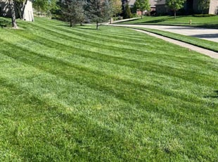 Dwayne M.'s Yard Cutting service result