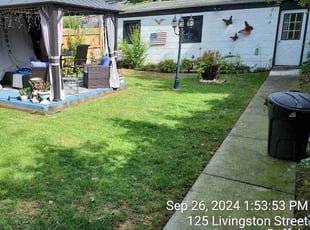 Michael G.'s Lawn Mowing service result