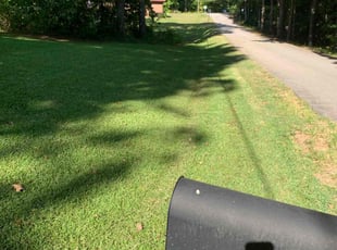 Nicole R.'s Lawn Mowing Service service result