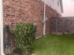 Bush Trimming by Gerardo Marroquin for Sayeda B. in Tomball, TX