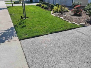 ELAINE S.'s Lawn Maintenance service result