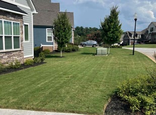 Wanlin C.'s Lawn Service service result