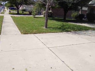 Deborah P.'s Lawn Service service result