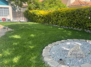 Bush Trimming by Domingo Cornejo for Shawn S. in Tracy, CA