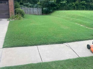 Frances D.'s Yard Cutting service result