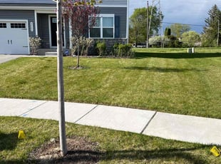 Bob A.'s Lawn Mowing service result