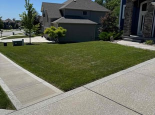 Weeding by Billy Maples for Desiree L. in Kansas City, MO