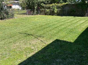 Samik D.'s Lawn Care service result