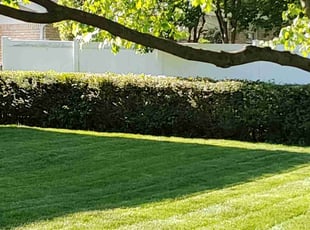 Larry C.'s Grass Cutting service result
