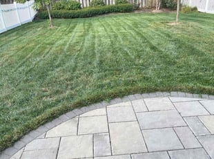 Dania T.'s Yard Cutting service result