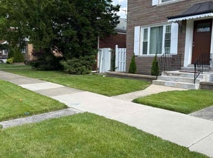 Renzie B.'s Yard Cutting service result