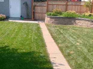 Brian R.'s Lawn Mowing service result