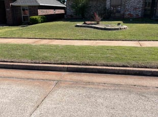 Paul B.'s Lawn Mowing service result