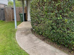 Bush Trimming by Miguel Ibarra for Devyn G. in Arlington, TX